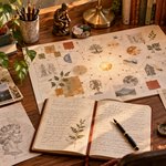 What Early-Career Researchers Need From Editorial Guidance